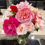 Trudy Baker - @trudybaker8 - Instagram