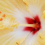 Trudy Baker Vanderpool - @tabdet - Instagram