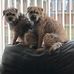 Trudy Barton - Facebook