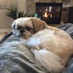 Trudy Barton - @aac_sis3 - Instagram