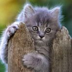 Trudy Vande Berg - Facebook