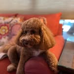 Trudy Boyd - @boyds2009 - Instagram