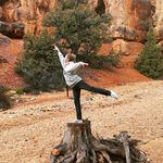 Trudy Buckner - @tottybaker - Instagram