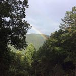 Trudy Burchfield - @trudyburchfield - Instagram