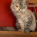 Trudi Carlson - Facebook