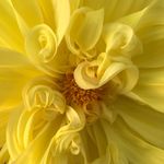 Trudy Carlson - @trudy118nz - Instagram