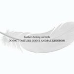 Trudy Carlson - @peace_outpost - Instagram