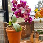 Trudy Carlson - @trudy.carlson - Instagram