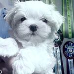 Trudy Collier - @trudy_collier - Instagram