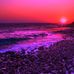 Trudy Crawford - Facebook