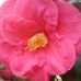 Trudy Crawford - Facebook