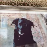 Honey Honey's - @trudy.dahlgren - Instagram