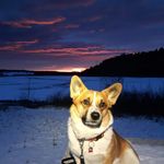 Trudy Foster - @trudy.foster - Instagram