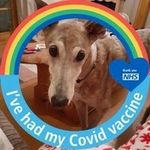 Trudy Foster - @trudysfolly - Instagram