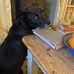Trudy Gardner - Facebook