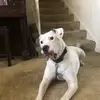 trudygoodwin20 - @trudygoodwin20 - TikTok