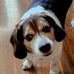 Trudy Gray - Facebook