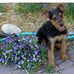 Trudy Gray - Facebook