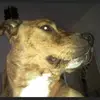 Rudyhackett - @rudyhackett - TikTok