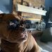 Trudy Hamilton - Facebook