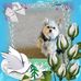Trudy Hamilton - Facebook