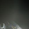 trudyhamilton1985 - @trudyhamilton1985 - TikTok