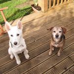 Trudy Herbert - @sashamisty - Instagram