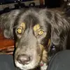 Lucy - @trudyhousholder - TikTok