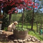 Trudy Howell - @howell_trudy - Instagram