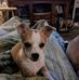 Trudy James - Facebook