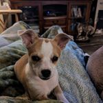 Trudy James - @trudy.james.144 - Instagram