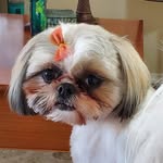 Trudy Johnston - @trudy.johnston.54 - Instagram