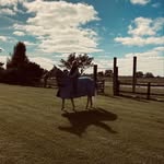 Trudy Johnstone - @trudy.johnstone00 - Instagram