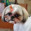 trudyjohnston3 - @trudyjohnston3 - TikTok