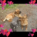 Trudyjohnston Shanebishop - @trudyjohnstonshanebishop - Instagram