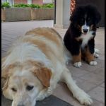 trudy e jordan🤍🤍 - @trudy_e_jordi - Instagram