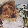 Trudy Jovner - @trudyjovner - TikTok