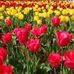Trudy Knowles - Facebook