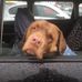 Trudy Lamb - Facebook