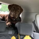 Trudy Lamb - @trudylamb4 - Instagram
