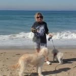 Trudy Lamb Gianechini - @trudylambgianechini - Instagram
