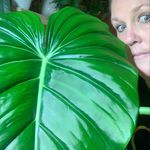 Trudy Gattis Lambert - @crazyplantharlot - Instagram