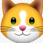 @siamo.trudy.lilly.iside.perla - Instagram