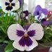 Trudy Lilly - Facebook