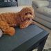 Trudy Links - Facebook