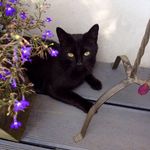 Trudy Spenkelink - @trudyspenkelink - Instagram
