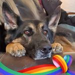 Trudy Bff Major - @xrtkoehler - Instagram