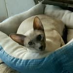 Trudy - @trudyjunemeadows - Instagram