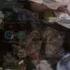 Trudy Miller - @trudy.miller - TikTok