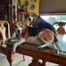 Trudy Miller - Facebook